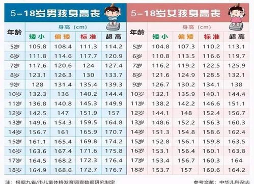 网络配图招募的士兵待遇高,代宗大历 十二年(777)