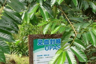 人类发现毒药是偶然的,可能是在烹饪时发现一些植物含有剧毒