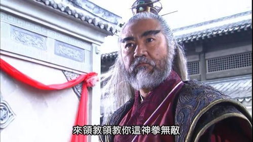 归辛树和袁承志同出于金庸的长篇武侠小说《碧血录》(袁承志打的过归辛树吗)