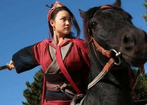 梁山英雄上山时,只有一丈青胡三娘是未婚女性(英雄齐聚梁山读后感)