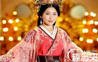 平阳公主嫁给了谁?你有自己的孩子吗?(平阳公主哪年嫁给卫青)