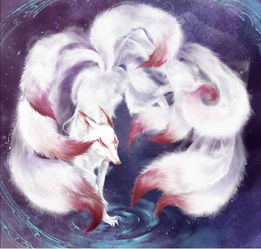 他死后,儿子启夺王位,将禅让制变成继承制,创立了第一个奴隶制(禹死后他的儿子)