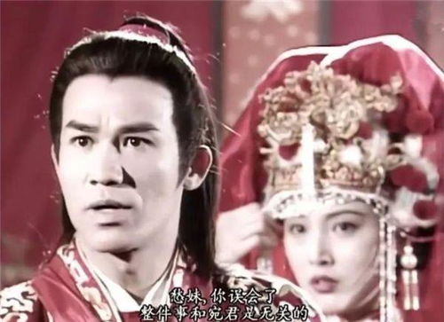 谁演陆展元?金庸经典武侠小说《神雕侠侣》被翻拍成多个影视版(金庸 陆展元)