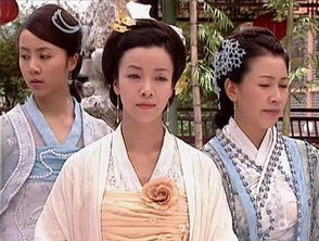 这不是真实的历史——杨家女将军的故事就是这样一段美丽的假历史(商朝真实的历史电视剧)