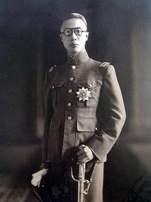 溥仪出宫时,召唤心腹之人到养心殿西暖阁,将王羲之最具书法价值(溥仪什么时候出宫)