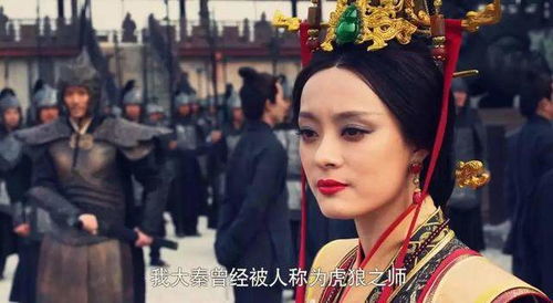 后来宣太后嫁给了义渠王,嬴姬心里极度排斥,强烈推荐嬴姬为王位(宣太后嫁给了谁)