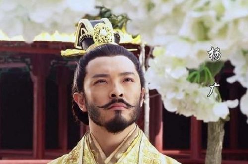 杨光的女儿,在史料中有两个,隋书·列女传中的南阳公主,是他的