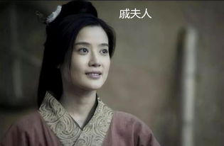 网络配图 戚夫人想劝刘邦废除王子,把儿子当王子