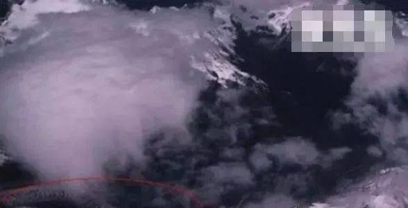 卫星拍摄的真龙凤凰是骗局