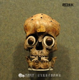 水晶头骨真的是一个信息存储器,几千年前古代玛雅人是如何相信的(水晶头骨真的存在吗)