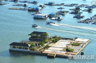 深圳海上皇宫的主人郭奎章到底是谁?(深圳海上皇宫事件最后结果)