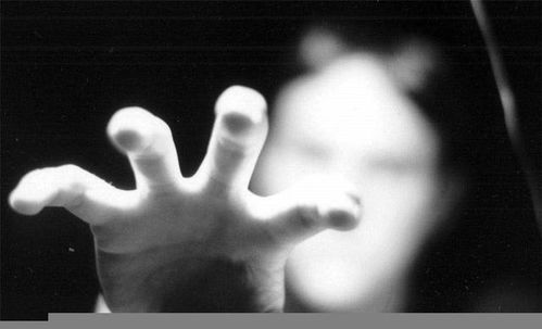 如何科学地解释人死后的世界(如何用科学解释一见钟情)