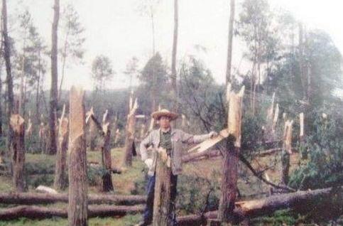 1994年贵阳空中怪车事件,400亩松林瞬间被拦腰斩断(1994年贵阳空中怪车事件真相)