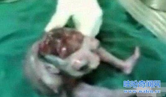 外星人事件在地球上发生过无数次(最近外星人在地球事件)