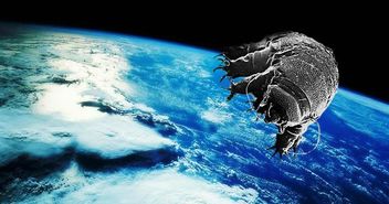 发现了地球兄弟生活在外星生物中的外星星座(地球的软生兄弟)