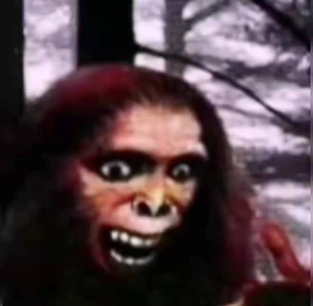 世界上对野生动物仍有很大争议(世界上新发现的一种野生动物)