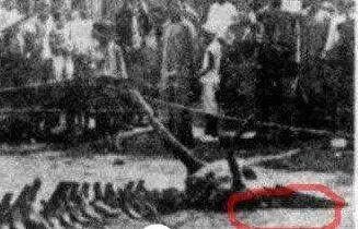 现代中国民间灵异传说多,版本多样,真假难辨(中国现代民间绘画)