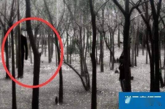 神秘传说中的恐怖生物又瘦又长(Slender MAN)(传说中十大恐怖神秘生物)