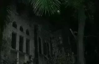 中国十大恐怖闹鬼地 罗阳古村封门村、罗布泊、瓦屋山迷魂、鬼湖(中国十大闹鬼事件)