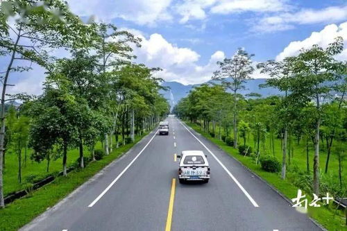 世界四大闹鬼公路,恐吓和谋杀路人(世界四大顶级公路)