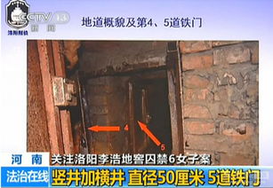 河南洛阳性奴隶案是什么?51区小编带你破案
