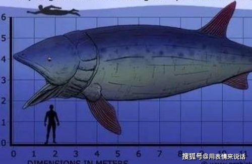 游走鲸是一种生活在史前时代的原始鲸鱼