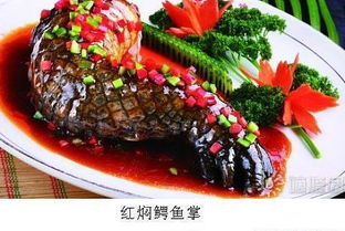 鳄鱼掌营养丰富,具有滋阴补阳、补肾固精、护肤养颜等功效