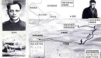 这些人死得很惨,都死在罗布泊沙民手里(就便为这些人死了)