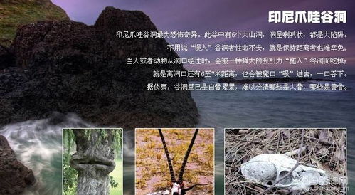 现代历史上10起食人事件(现代历史事件)