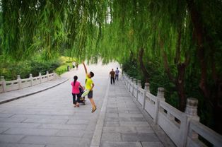 济南三大名胜:千佛山雕刻着成千上万的佛像(济南三大历史名胜)