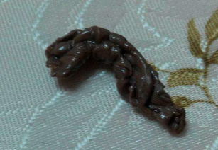 粪肉贵吗?池田用反应加强器将材料混合,然后放入称为 爆炸装置