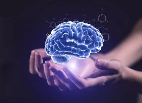 巴西栗子的营养价值与作用