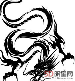 世界上真的有龙吗?其实有关龙降临的事情不止一起(世界上真的有龙吗 真龙图片)