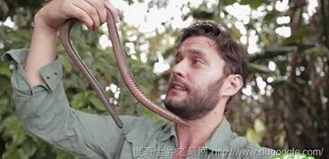 神秘生物:神秘海怪尸体惊现(海中的神秘生物)