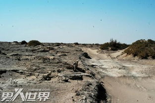 中国四个无人区是探险精英最想探索的地方(中国四个无人区介绍)