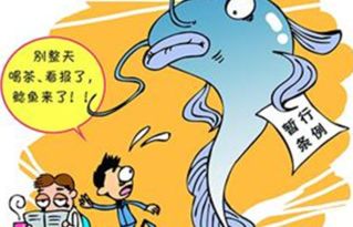 马太效应是什么意思?关于人类无知的五大法律法规(马太效应的启示是什么)