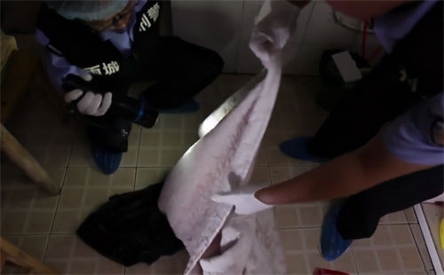耶鲁墙中女尸案凶手杀人动机扑朔迷离警方至今还未公布真相