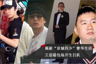 新的北京四少有谁?