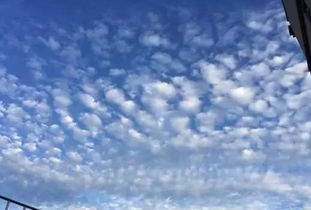地震云真的能预测地震吗?(地震云真的能预测地震吗大乐透开奖结果)