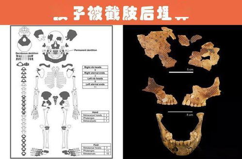 无法解释的九大考古发现