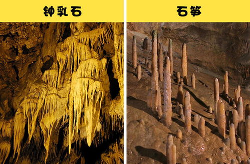 石钟乳和石笋有什么区别?(石钟乳和石笋像什么排比句)