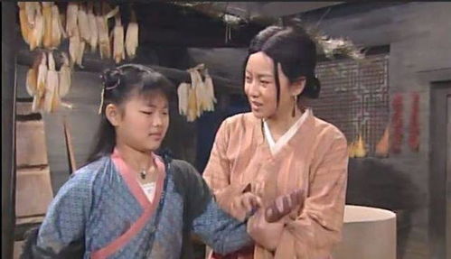 武林外传(武林外传百度网盘)