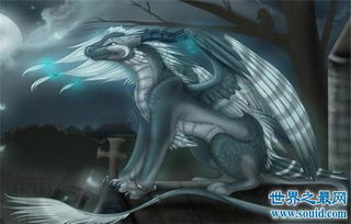 几乎所有人都想长生不老,蛤蜊被称为地球上五大不朽动物之一