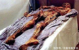 奥茨冰人最著名的是诅咒之谜