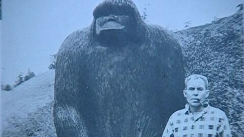 野人是什么?野生动物是一种未经证实的高级灵长目动物(野人是什么生肖)