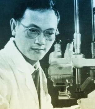 中国罗布泊考察队因严重缺水缺油被迫停止前进(我的罗布泊考察日记)