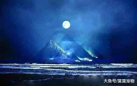 海底金字塔未解之谜(图文)(海底金字塔是真的吗)