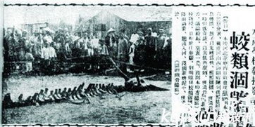 最著名的营川龙坠落事件