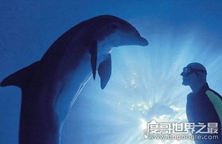 中国人在水下屏住呼吸的世界纪录需要多长时间