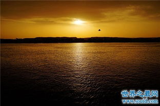世界上最长的内流河伏尔加河 世界上最长的内流河注入